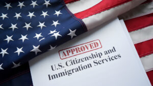 Family Immigration Process