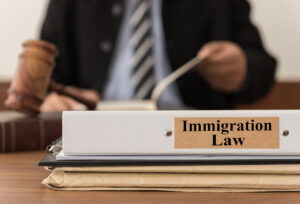 immigration law